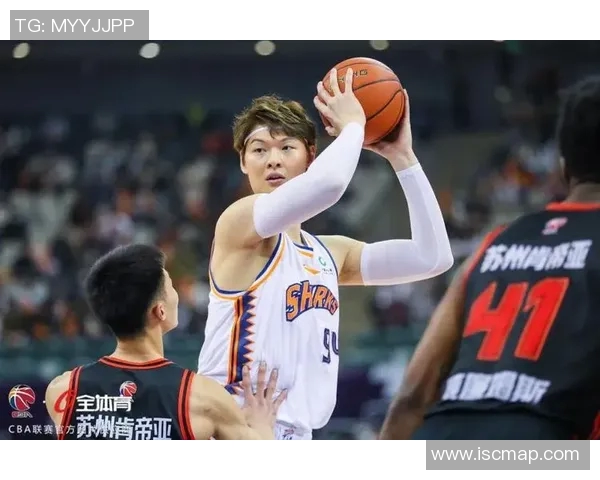 王哲林领衔中国篮球新篇章展现实力与魅力的崛起之路