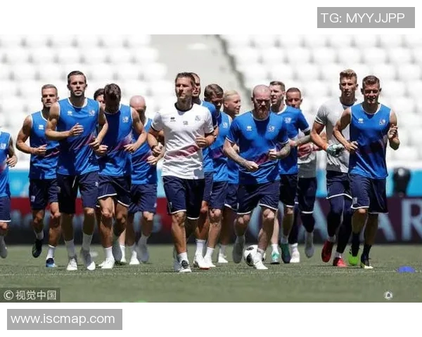 竞彩008法国对冰岛赛事分析及投注建议全方位解读