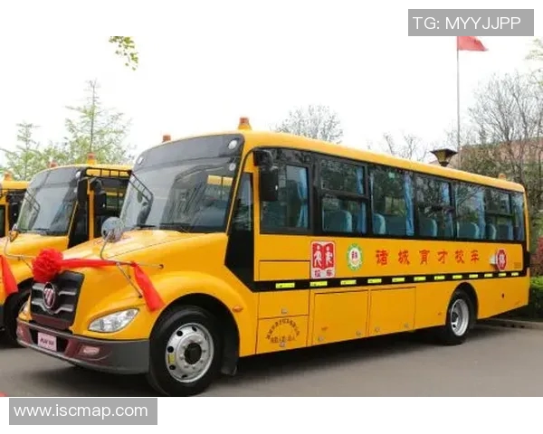 专访杨军:探寻网球界传奇背后的成功秘诀与成长之路