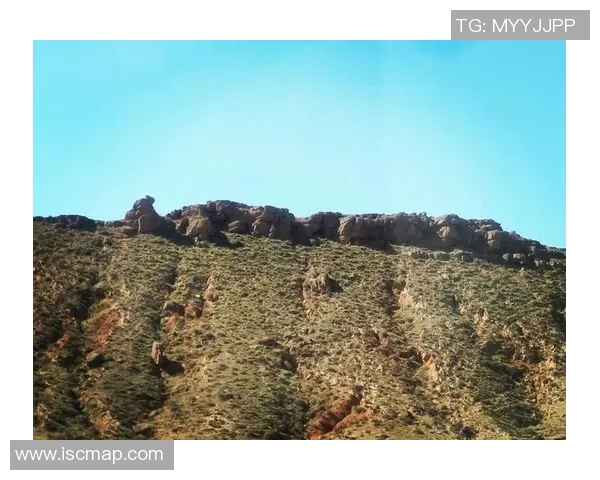 弗拉霍维奇的崛起与挑战：如何在足球世界中书写自己的传奇故事