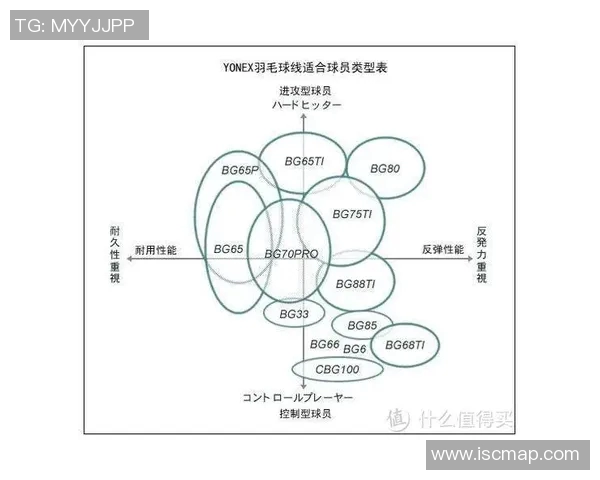 羽毛球深度解析：探秘杭州羽毛球队的运营模式与发展策略
